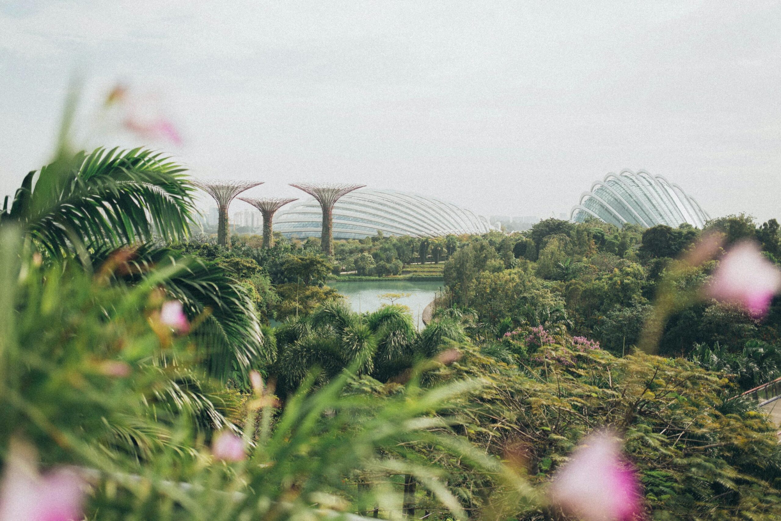 Singapore main img scaled YTM HOLIDAYS